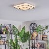 Borin Taklampa LED Grått, Vit, 1-ljuskällor