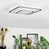 Borin Taklampa LED Grått, Vit, 1-ljuskällor