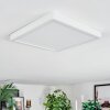 Finsrud Taklampa, Panel LED Vit, 1-ljuskällor