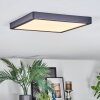 Finsrud Taklampa, Panel LED Svart, 1-ljuskällor