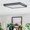 Finsrud Taklampa, Panel LED Svart, 1-ljuskällor
