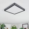 Finsrud Taklampa, Panel LED Svart, 1-ljuskällor