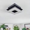Walon Taklampa LED Svart, 1-ljuskällor