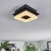 Walon Taklampa LED Svart, 1-ljuskällor