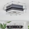 Walon Taklampa LED Svart, 1-ljuskällor