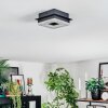 Walon Taklampa LED Svart, 1-ljuskällor