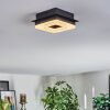 Walon Taklampa LED Svart, 1-ljuskällor