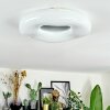 Zuril Taklampa LED Vit, 1-ljuskällor, Fjärrkontroll