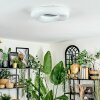 Zuril Taklampa LED Vit, 1-ljuskällor, Fjärrkontroll