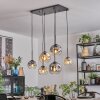 Ripoll Pendellampa, kullampa, Pendelbelysning Amber, Klart, Rökfärger, 6-ljuskällor