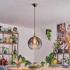 Koyoto Pendellampa, kullampa, Pendelbelysning Guld, 1-ljuskällor