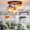 Koyoto Taklampa, kullampa Amber, Klart, Rökfärger, 3-ljuskällor