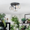 Koyoto Taklampa, kullampa Amber, Klart, Rökfärger, 3-ljuskällor