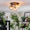Koyoto Taklampa, kullampa Amber, Klart, Rökfärger, 3-ljuskällor