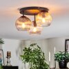 Koyoto Taklampa, kullampa Amber, Klart, Rökfärger, 3-ljuskällor