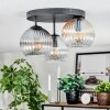 Koyoto Taklampa, kullampa Amber, Klart, Rökfärger, 3-ljuskällor