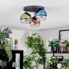 Koyoto Taklampa, kullampa 30 cm Blå, Grön, Klart, Kopparfärg, 3-ljuskällor