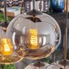 Apedo Pendellampa, kullampa, Pendelbelysning Amber, Rökfärger, 6-ljuskällor