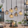Ripoll Pendellampa, kullampa, Pendelbelysning Amber, Klart, Rökfärger, 6-ljuskällor