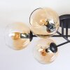 Koyoto Taklampa, kullampa Amber, Klart, 6-ljuskällor