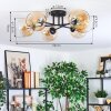 Koyoto Taklampa, kullampa Amber, Klart, 6-ljuskällor
