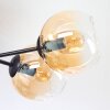 Koyoto Taklampa, kullampa Amber, Klart, 6-ljuskällor