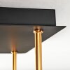 Koyoto Taklampa, kullampa Guld, Svart, 5-ljuskällor