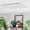 Zuren Taklampa, Panel LED Vit, 1-ljuskällor, Färgväxlare