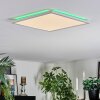 Zuren Taklampa, Panel LED Vit, 1-ljuskällor, Färgväxlare