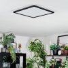 Zuren Taklampa, Panel LED Svart, 1-ljuskällor, Färgväxlare