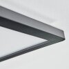 Zuren Taklampa, Panel LED Svart, 1-ljuskällor, Färgväxlare
