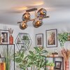 Koyoto Taklampa, kullampa Guld, Svart, 8-ljuskällor
