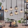 Ripoll Pendellampa, kullampa, Pendelbelysning Amber, Klart, Rökfärger, 6-ljuskällor