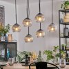 Koyoto Pendellampa, kullampa, Pendelbelysning Klart, Rökfärger, 6-ljuskällor