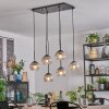 Koyoto Pendellampa, kullampa, Pendelbelysning Klart, Rökfärger, 6-ljuskällor