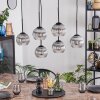 Koyoto Pendellampa, kullampa, Pendelbelysning Klart, Rökfärger, 6-ljuskällor