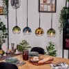 Koyoto Pendellampa, kullampa, Pendelbelysning Naturfärger, Svart, 4-ljuskällor