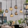Ripoll Pendellampa, kullampa, Pendelbelysning Amber, Rökfärger, 6-ljuskällor