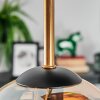 Koyoto Taklampa, kullampa Guld, Svart, 5-ljuskällor