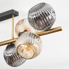 Ripoll Taklampa, kullampa Guld, Svart, 8-ljuskällor