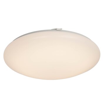 AEG Basic Taklampa, Vägg- och taklampor LED Vit, 1-ljuskällor