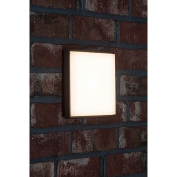 AEG Square Utomhusbelysning, vägglampa utomhus LED Antracit, Vit, 1-ljuskällor