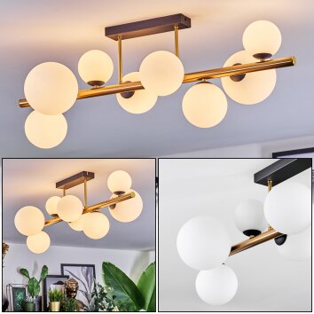 Chehalis Taklampa, kullampa Guld, Svart, 8-ljuskällor