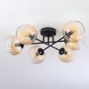 Koyoto Taklampa, kullampa 59 cm Amber, Klart, 6-ljuskällor