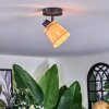 Lindberg Taklampa, Takstrålkastare Svart, 1-ljuskällor
