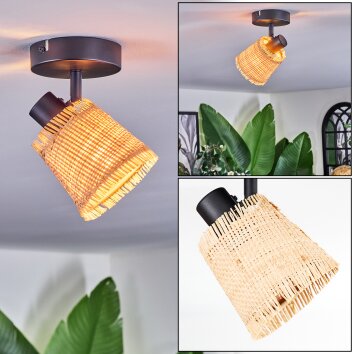 Lindberg Taklampa, Takstrålkastare Svart, 1-ljuskällor