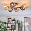 Ripoll Taklampa, kullampa Amber, Rökfärger, 6-ljuskällor