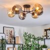Ripoll Taklampa, kullampa Amber, Rökfärger, 6-ljuskällor