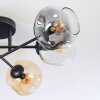 Ripoll Taklampa, kullampa Amber, Klart, Rökfärger, 6-ljuskällor
