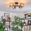 Ripoll Taklampa, kullampa Amber, Klart, Rökfärger, 6-ljuskällor